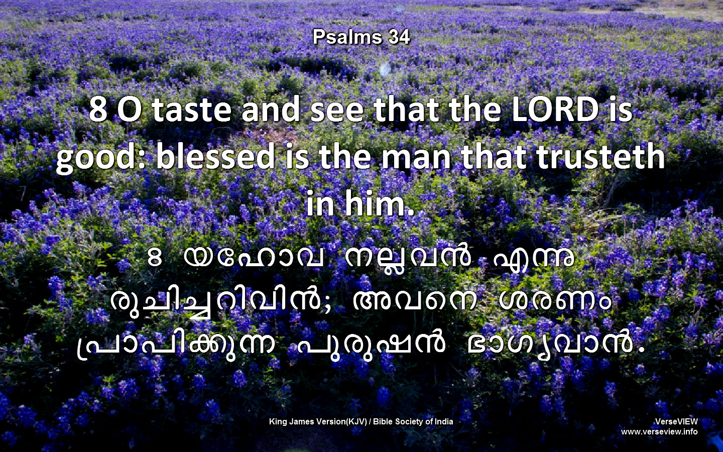 Bible Society Of India Malayalam Bible Pdf Download